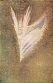 anjos02.jpg (145838 bytes)