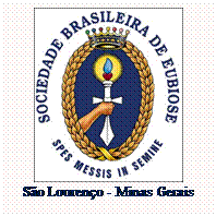 Caixa de texto:  
So Loureno - Minas Gerais

